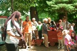 treehouse-sunday-funday_44