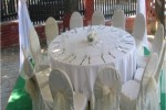 Picture6